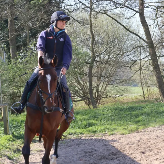 Horse of the month: January